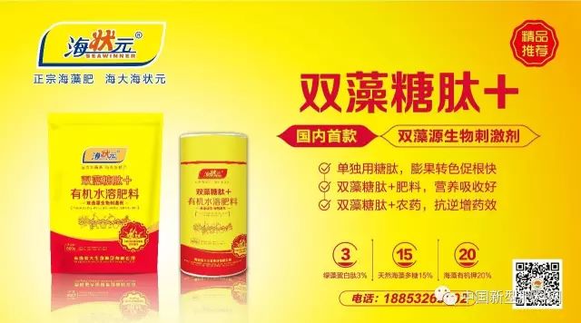 小巷深处的氮肥秘密与美食瑰宝探索