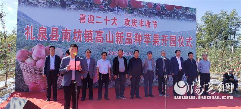 苹果新品种详解，品种介绍与图片展示